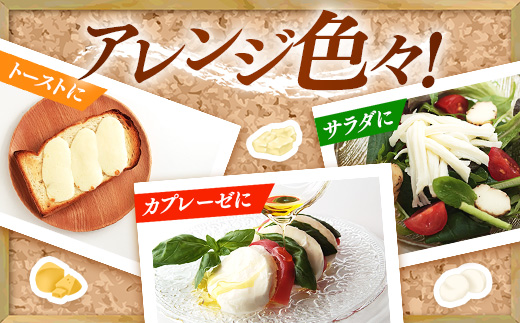 ハッピーさんのチーズ4種セット各3個入り チーズ モッツァレラ さけるチーズ 牛乳 おつまみ ちーず 乳製品 生乳 乳 国産 国産チーズ 食べ比べ セット 詰合せ 詰め合わせ アソート 家飲み 有塩 無塩 プレーン ブラックペッパー 岩手 岩手県 岩手町 ハッピーヒルファーム