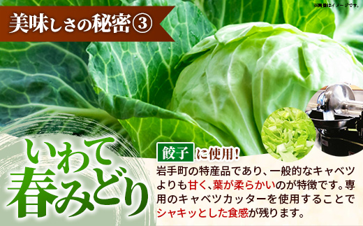 粉夢のしんいちろう 餃子・ジャンボ 焼売・まるまる 肉まん のセット 餃子 肉まん お肉 おかず やまと豚 焼き 中華 肉 点心 冷凍 手作り もちもち 旨み 岩手県 岩手町