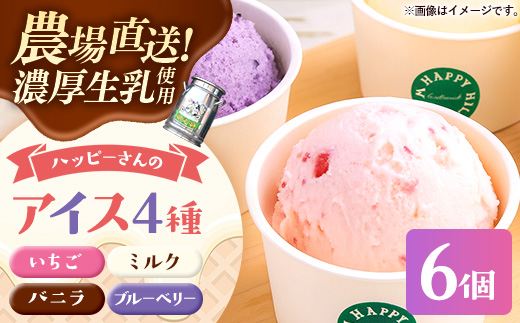 ハッピーさんのアイス 4種類6個入り アイスクリーム カップ スイーツ あいす セット ギフト プレゼント 贈り物 夏 ミルク バニラ ストロベリー ブルーベリー 農場直送 冷凍 岩手県 岩手町