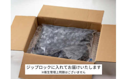 縲仙イゥ謇狗伴逕」縲大キ蜃阪ヶ繝ォ繝シ繝吶Μ繝シ1kg 繝輔Ν繝シ繝 譫懃黄 莠コ豌 譛滄俣髯仙ョ 謨ー驥城剞螳 蜀キ蜃