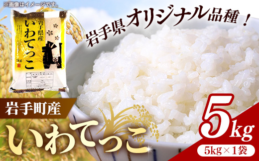 令和7年産岩手町産いわてっこ精米 5kg 米 白米 ごはん 新鮮 粘り 甘み おすすめ 銘柄 送料無料 農家直送 こめ 岩手 岩手町 岩手県 Mふぁ～む