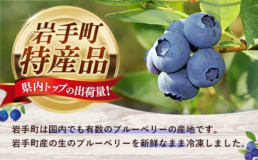 【訳あり加工用】岩手町産冷凍ブルーベリー1kg フルーツ 果物 くだもの おやつ スイーツ デザート ジャム スムージー ヨーグルト お菓子作り 冷凍 訳あり 加工用 業務用 岩手県 岩手町 岩手缶詰