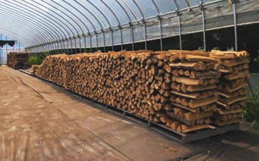 【訳あり】【キャンプ用】岩手町産ナラ材薪1箱約23kg キャンプ用 薪 約36cm 乾燥薪 木材 薪ストーブ 暖炉 暖房 冬 薪割り ナラ薪 楢 広葉樹 アウトドア キャンプ ファイヤー 焚き火 焚火 岩手県 岩手町 横澤林業