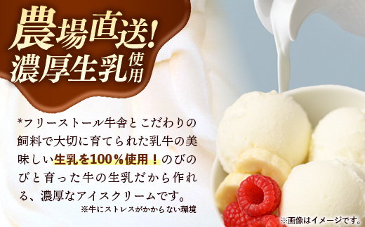 ハッピーさんのアイス 4種類12個入り アイスクリーム カップ スイーツ あいす セット ギフト プレゼント 贈り物 夏 ミルク バニラ ストロベリー ブルーベリー 農場直送 冷凍 岩手県 岩手町　