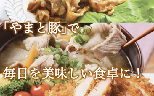 蟯ゥ謇狗恁逕」繧縺セ縺ィ雎5遞ョ邏2.6kg 蝗ス逕」 閧 雎夊i 繧縺セ縺ィ雎 骰 辟シ閧 雎壹Ο繝シ繧ケ 雎壹ヰ繝ゥ 雎壹%縺セ 繝「繝「繧ケ繝ゥ繧、繧ケ 縺イ縺崎i 縺ィ繧薙°縺、 逕溷ァ懃┥縺 縺励c縺カ縺励c縺カ 逵溽ゥコ繝代ャ繧ッ 蟆丞縺 蜀キ蜃 蟯ゥ謇狗恁 蟯ゥ謇狗伴