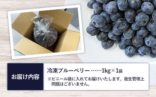 【訳あり加工用】岩手町産冷凍ブルーベリー1kg フルーツ 果物 くだもの おやつ スイーツ デザート ジャム スムージー ヨーグルト お菓子作り 冷凍 訳あり 加工用 業務用 岩手県 岩手町 岩手缶詰