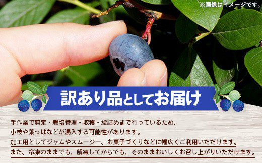 ãèš³ããå å·¥çšã岩æçºç£å·åãã«ãŒããªãŒ1kg ãã«ãŒã æç© ãã ãã® ãã〠ã¹ã€ãŒã ãã¶ãŒã ãžã£ã ã¹ã ãŒãžãŒ ãšãŒã°ã«ã ãèåäœã å·å èš³ãã å å·¥çš æ¥åçš å²©æç 岩æçº 岩æçŒ¶è©°