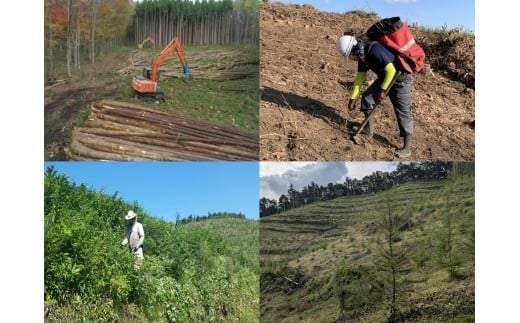 【訳あり】【キャンプ用】岩手町産ナラ材薪1箱約23kg キャンプ用 薪 約36cm 乾燥薪 木材 薪ストーブ 暖炉 暖房 冬 薪割り ナラ薪 楢 広葉樹 アウトドア キャンプ ファイヤー 焚き火 焚火 岩手県 岩手町 横澤林業