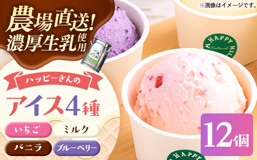 ハッピーさんのアイス 4種類12個入り アイスクリーム カップ スイーツ あいす セット ギフト プレゼント 贈り物 夏 ミルク バニラ ストロベリー ブルーベリー 農場直送 冷凍 岩手県 岩手町　