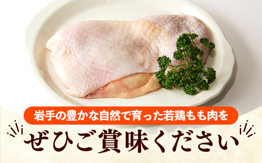 岩手県産 若鶏もも肉 【一枚肉】 約3kg（約300g×10p）小分け 300g 冷凍 真空パック 鶏肉 モモ肉 使いやすい ストック 一枚ずつ 切身 若どり 国産 鶏モモ もも肉 照り焼き 親子丼 岩手県 岩手町