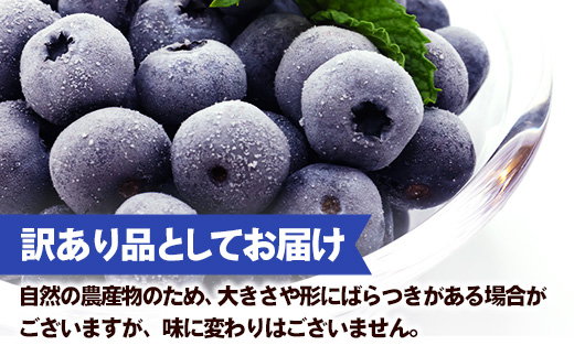 岩手町産】冷凍ブルーベリー 1kg【訳あり】 冷凍 家庭用 大粒 不揃い