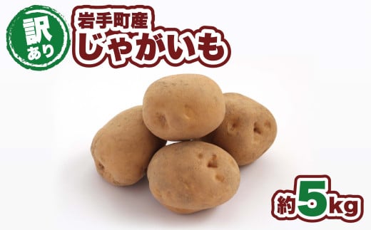 【訳アリ】岩手町産の旬野菜（じゃがいも）約5kg ジャガイモ 男爵いも メークイン 北あかり 品種 ランダム お任せ ポテト 芋 イモ いも 訳あり 家庭用 規格外 不揃い 産地直送 送料無料 岩手県 岩手町