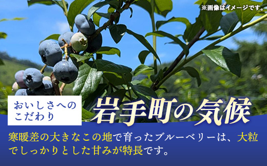 岩手町産】冷凍ブルーベリー 1kg【訳あり】 冷凍 家庭用 大粒 不揃い