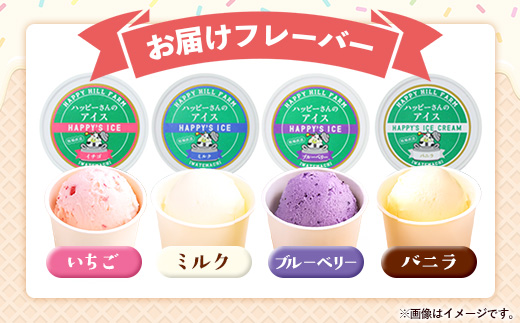 ハッピーさんのアイス 4種類6個入り アイスクリーム カップ スイーツ あいす セット ギフト プレゼント 贈り物 夏 ミルク バニラ ストロベリー ブルーベリー 農場直送 冷凍 岩手県 岩手町