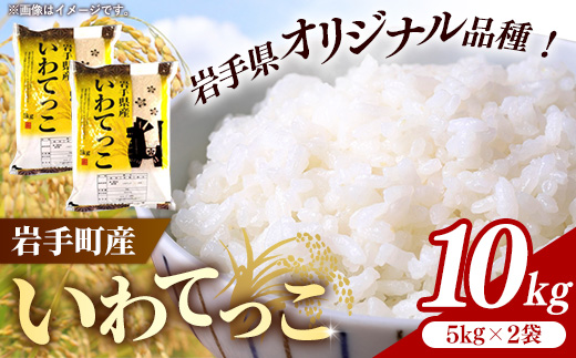 令和7年産岩手町産いわてっこ精米 10kg 米 白米 ごはん 新鮮 粘り 甘み おすすめ 銘柄 送料無料 農家直送 こめ 岩手 岩手町 岩手県 Mふぁ～む