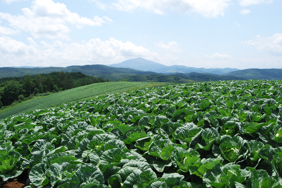 多彩な産業振興で未来を拓くまち