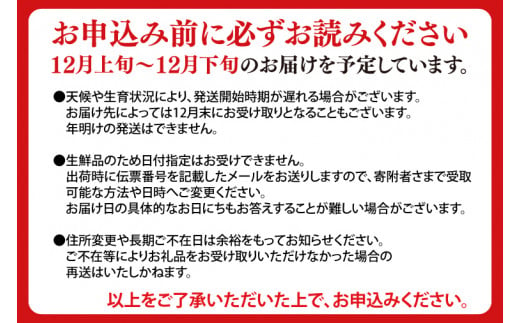 【先行予約】数量限定「冬恋」はるか約2.5kg【冬恋研究会】 (AI007)