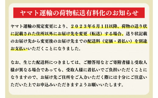 【先行予約】数量限定「冬恋」はるか約2.5kg【冬恋研究会】 (AI007)