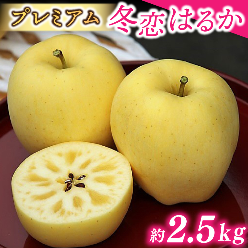 りんご プレミアム 「冬恋」はるか 糖度16度以上【先行予約 12月発送予定】 数量限定 岩手県産 高級 りんご リンゴ 林檎 冬恋 はるか フルーツ くだもの 果物 【冬恋研究会】 (AI021)