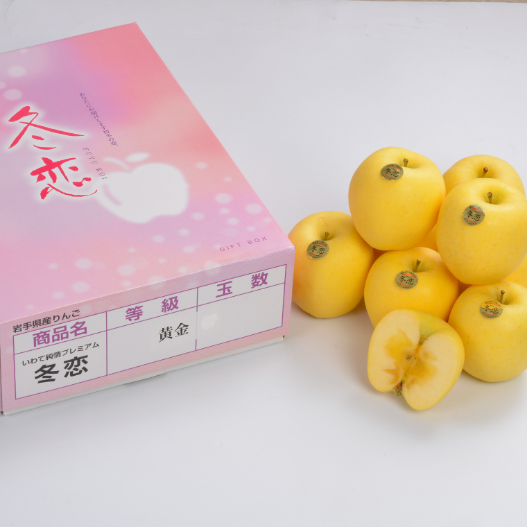 りんご プレミアム 「冬恋」はるか 糖度16度以上【先行予約 12月発送予定】 数量限定 岩手県産 高級 りんご リンゴ 林檎 冬恋 はるか フルーツ くだもの 果物 【冬恋研究会】 (AI021)