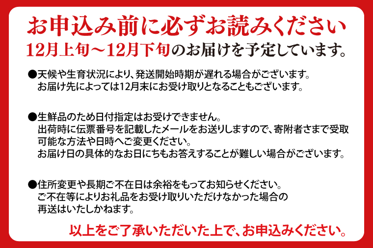 数量限定 プレミアム「冬恋」はるか 約2.5kg【冬恋研究会】 (AI017)