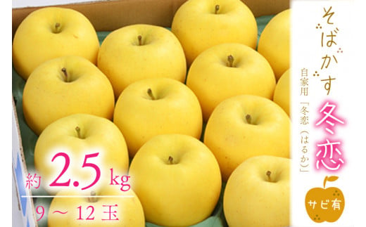 【先行予約】数量限定 そばかす「冬恋」（自家用「冬恋」 サビ有） 約2.5kg【冬恋研究会】(AI009)