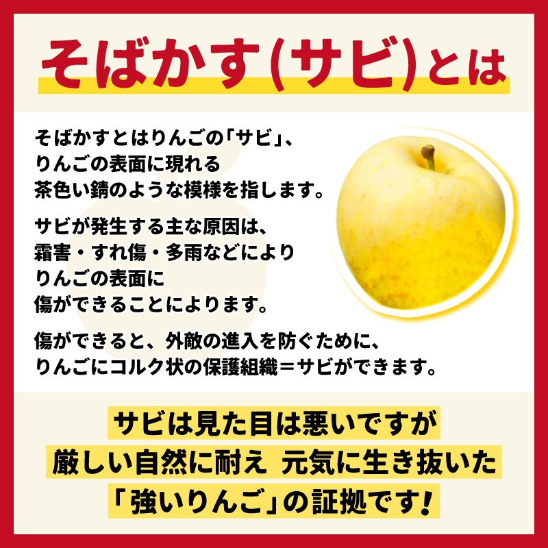 りんご 「そばかす冬恋」（自家用「冬恋 はるか」 サビ有） 糖度15度以上【先行予約 12月発送予定】 数量限定 ★サビあり りんご★ 岩手県産 りんご リンゴ 林檎 冬恋 はるか フルーツ くだもの 果物 訳あり 【冬恋研究会】 (AI023)