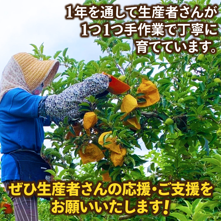 りんご 「そばかす冬恋」（自家用「冬恋 はるか」 サビ有） 糖度15度以上【先行予約 12月発送予定】 数量限定 ★サビあり りんご★ 岩手県産 りんご リンゴ 林檎 冬恋 はるか フルーツ くだもの 果物 訳あり 【冬恋研究会】 (AI023)