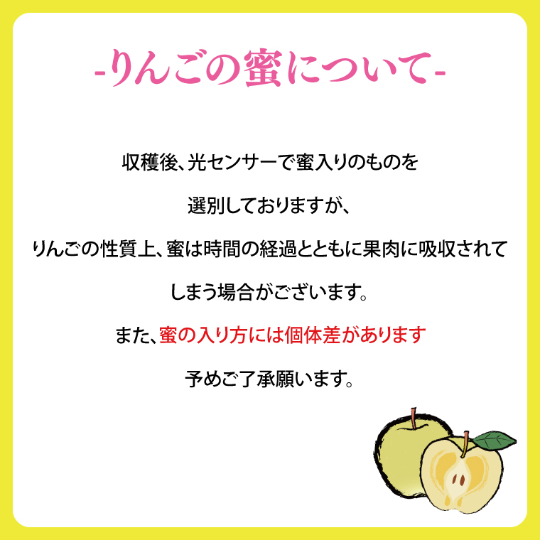 りんご 「そばかす冬恋」（自家用「冬恋 はるか」 サビ有） 糖度15度以上【先行予約 12月発送予定】 数量限定 ★サビあり りんご★ 岩手県産 りんご リンゴ 林檎 冬恋 はるか フルーツ くだもの 果物 訳あり 【冬恋研究会】 (AI023)