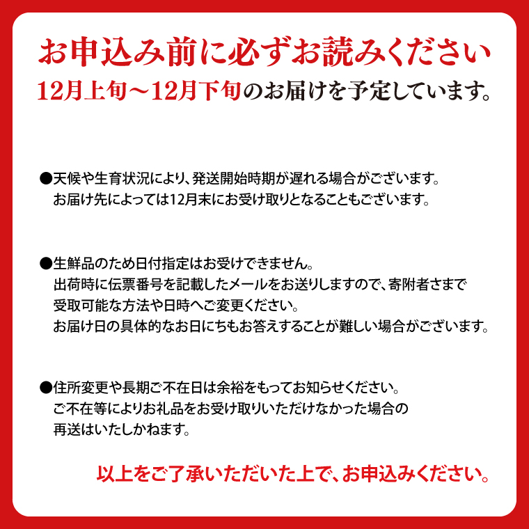 りんご 「そばかす冬恋」（自家用「冬恋 はるか」 サビ有） 糖度15度以上【先行予約 12月発送予定】 数量限定 ★サビあり りんご★ 岩手県産 りんご リンゴ 林檎 冬恋 はるか フルーツ くだもの 果物 訳あり 【冬恋研究会】 (AI023)