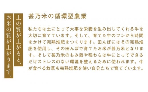 ＼新米 令和6年産／ ひとめぼれ 白米 5kg 【甚乃米 特別栽培米】 さめても美味しい おこめ 白米 岩手県 紫波町産 (AC022)