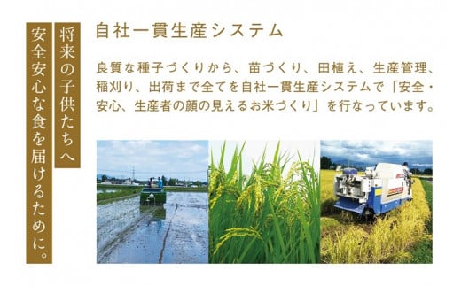 ＼新米 令和6年産／ ひとめぼれ 白米 5kg 【甚乃米 特別栽培米】 さめても美味しい おこめ 白米 岩手県 紫波町産 (AC022)