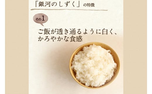 【令和6年産】銀河のしずく 精米 10kg 特別栽培米 生産者直送 特A受賞 | お米 コメ 精米 白米 (CA021)