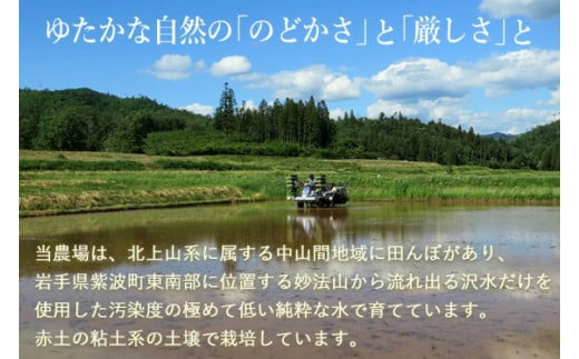 【令和6年産】銀河のしずく 精米 10kg 特別栽培米 生産者直送 特A受賞 | お米 コメ 精米 白米 (CA021)