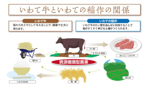 【岩手県産 黒毛和牛】いわて牛 切り落とし 肉 750g セット (250g×3パック) (AB006-1)