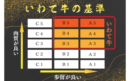 黒毛 和牛 いわて牛 サーロイン ステーキ 1kg (AB013)