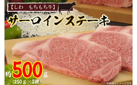 黒毛 和牛【しわ　もちもち牛】 サーロイン ステーキ 約500ｇ (250ｇ×2枚) (AM002-1)