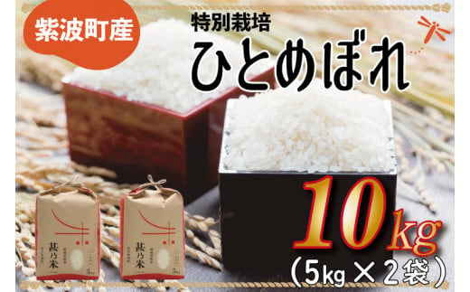 ＼新米 令和6年産／ ひとめぼれ 白米 10kg 【甚乃米 特別栽培米】 さめても美味しい おこめ 白米 岩手県 紫波町産 (AC023)