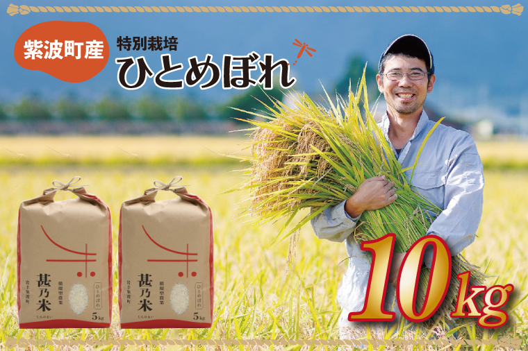 ＼令和6年産／ ひとめぼれ 白米 10kg (5kg×2袋) 【甚乃米 特別栽培米】 さめても美味しい おこめ 白米 岩手県 紫波町産 (AC023)