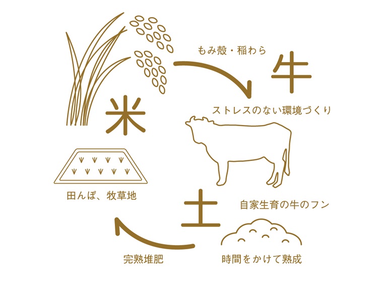 ＼令和6年産／ ひとめぼれ 白米 10kg (5kg×2袋) 【甚乃米 特別栽培米】 さめても美味しい おこめ 白米 岩手県 紫波町産 (AC023)