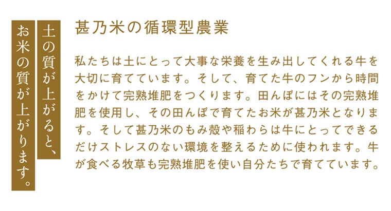 ＼令和6年産／ ひとめぼれ 白米 10kg (5kg×2袋) 【甚乃米 特別栽培米】 さめても美味しい おこめ 白米 岩手県 紫波町産 (AC023)