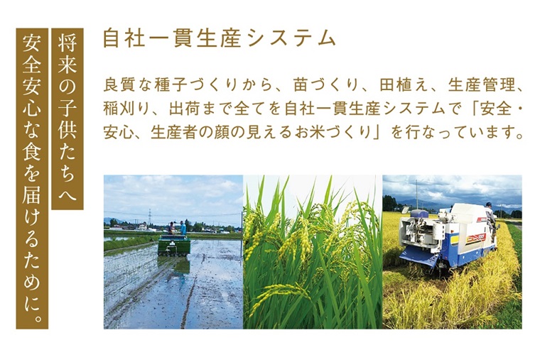 ＼令和6年産／ ひとめぼれ 白米 10kg (5kg×2袋) 【甚乃米 特別栽培米】 さめても美味しい おこめ 白米 岩手県 紫波町産 (AC023)