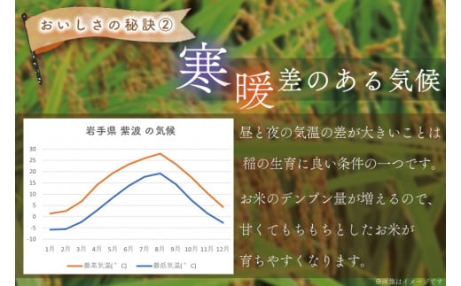 ＼新米 令和6年産／ ひとめぼれ 白米 10kg 【甚乃米 特別栽培米】 さめても美味しい おこめ 白米 岩手県 紫波町産 (AC023)