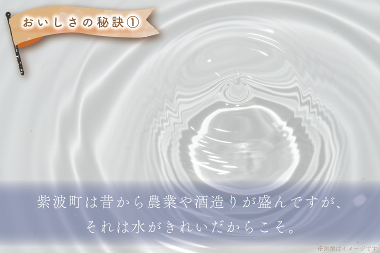 ＼令和6年産／ ひとめぼれ 白米 10kg (5kg×2袋) 【甚乃米 特別栽培米】 さめても美味しい おこめ 白米 岩手県 紫波町産 (AC023)