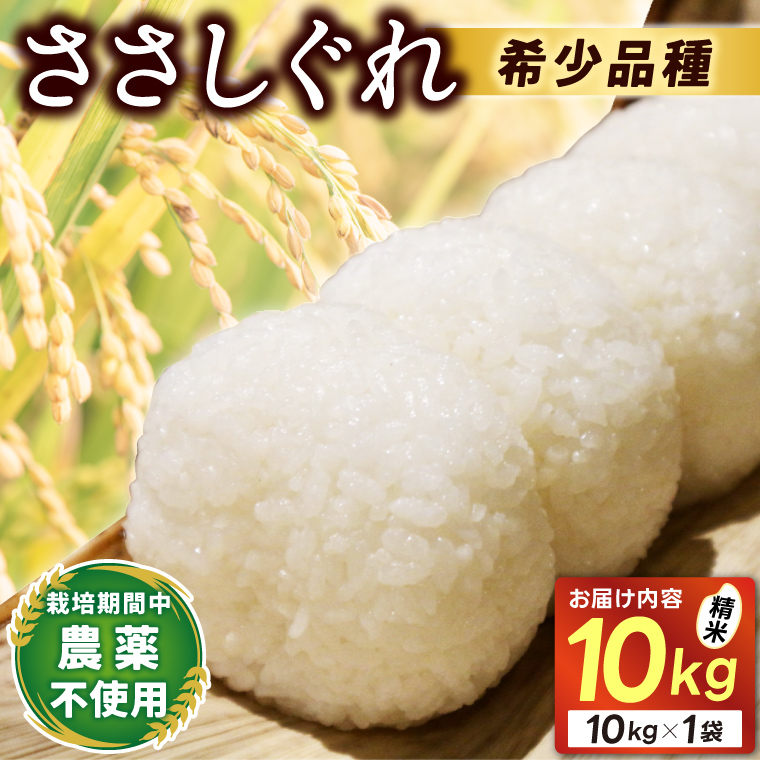 ★令和7年産★ 新米 ささしぐれ 10kg (精米) (DE007)