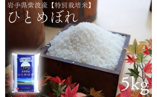 【特別栽培米】★令和7年産★ 安全 安心 環境保護 さめてもおいしい 「ひとめぼれ 5kg」 (AD045)