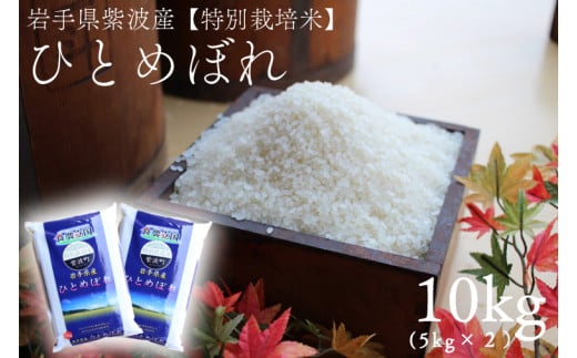 ★令和7年産★ひとめぼれ10kg（5kg×2袋）岩手県紫波町産【特別栽培米】(AD051)