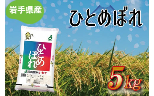 ★令和6年産★岩手県産 ひとめぼれ 5kg (AE170)