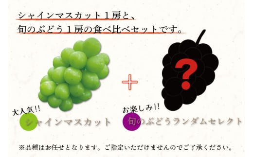 【9月下旬発送予定】シャインマスカットと旬のぶどう 食べ比べ2房セット 約1kg (DH005)