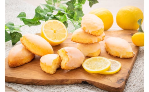 ãæééå®ãã¬ã¢ã³ã±ãŒã6åã»ããïŒAQ072ïŒ